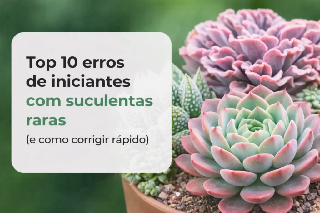 Suculentas raras em cores vibrantes com fundo verde desfocado e texto informativo em espanhol.