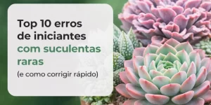 Suculentas raras em cores vibrantes com fundo verde desfocado e texto informativo em espanhol.
