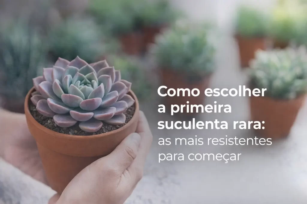 Pessoa segurando vaso com suculenta rara verde e lavanda, texto em português sobre escolha de plantas
