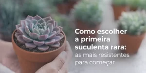 Pessoa segurando vaso com suculenta rara verde e lavanda, texto em português sobre escolha de plantas