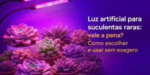 Luz artificial para suculentas raras com ambiente roxo e plantas vibrantes