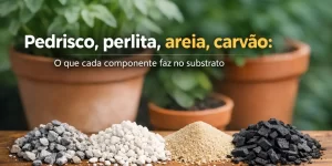 Componentes de substrato: pedrisco, perlita, areia e carvão com plantas ao fundo