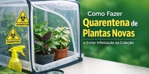 Estufa transparente com sinais de quarentena e plantas em vaso com fundo verde desfocado