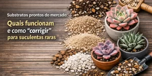 Substratos e suculentas vibrantes em vasos decorativos sobre mesa de madeira