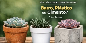 Suculentas em vasos de terracota, cerâmica e concreto destacadas com texto sobre escolhas ideais para brasileiros 2026.